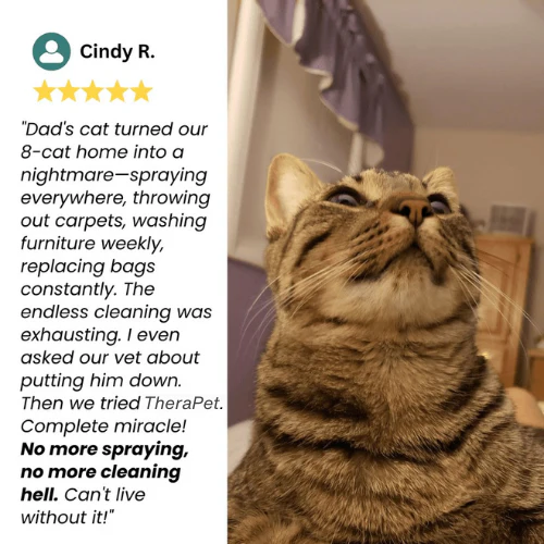 PetCalm Advanced Cat Calming Diffuser